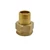 Sárgaréz hollander egyenes KB 1/2"